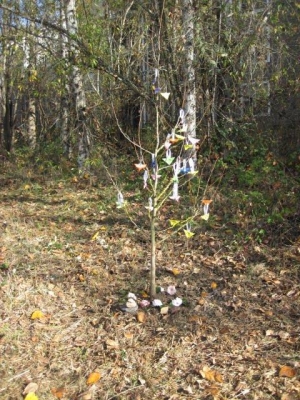 Sharon's Memorial Tree